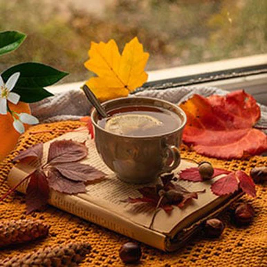 Almost Autumn Fragrance Oil