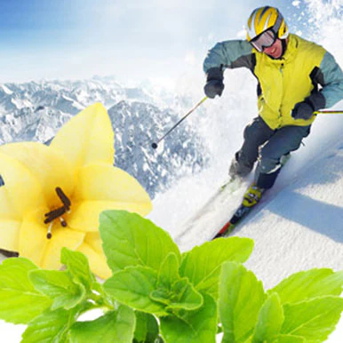Alpine Snowdrift Fragrance Oil