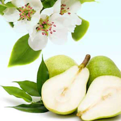 Anjou Pear Blossoms Fragrance Oil