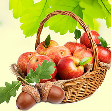 Apples and Oak Fragrance Oil