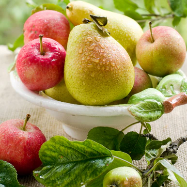 Bartlett Pear and Apple Natural Fragrance Oil