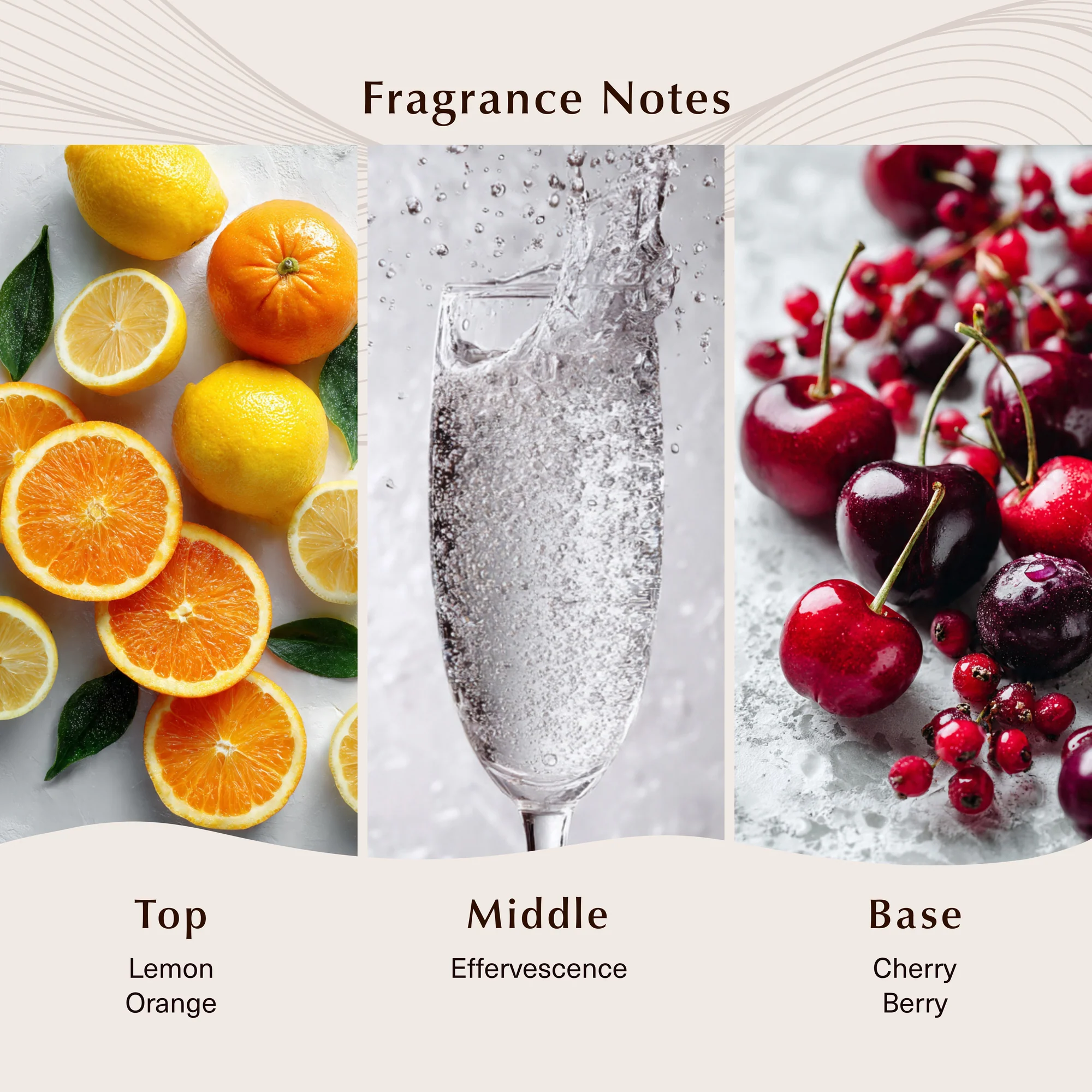 Bite Me Fragrance Oil - Image 2