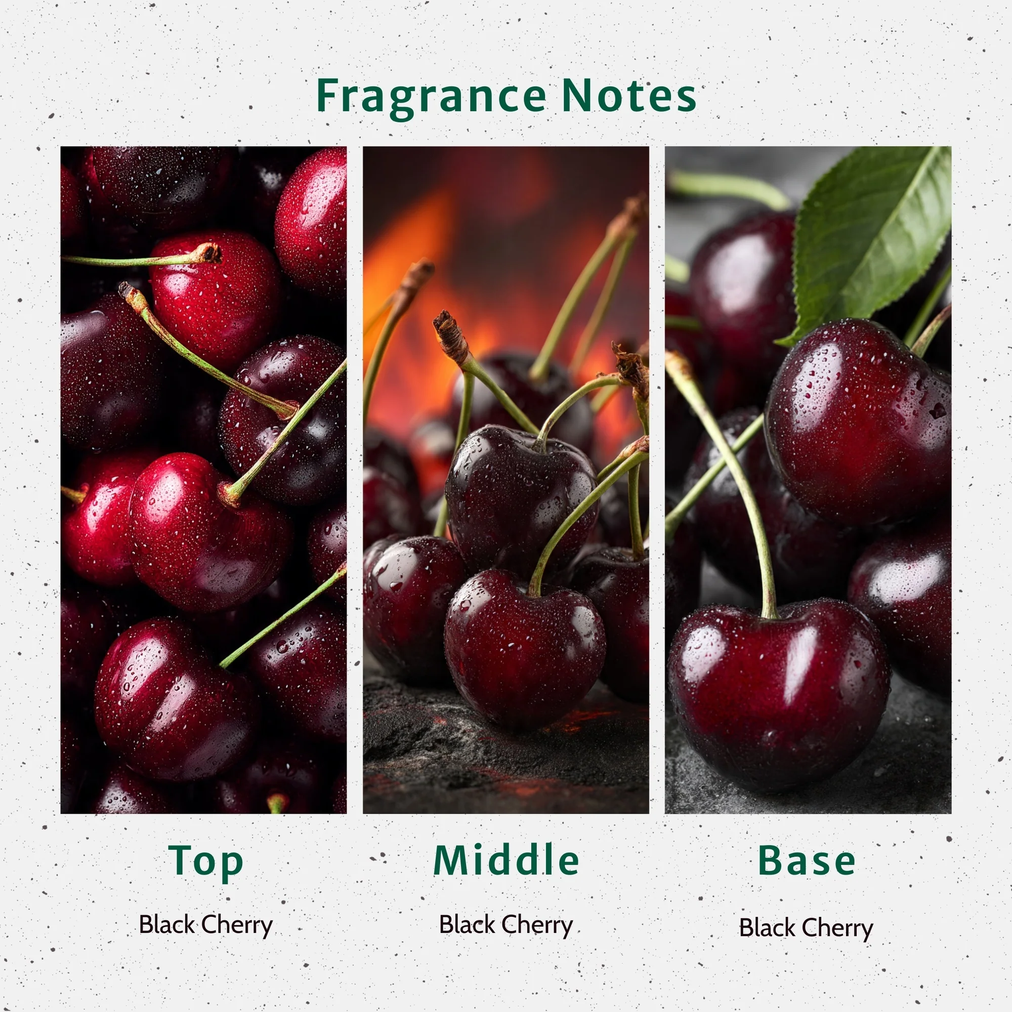 Black Cherry BOMB Fragrance Oil - Image 2