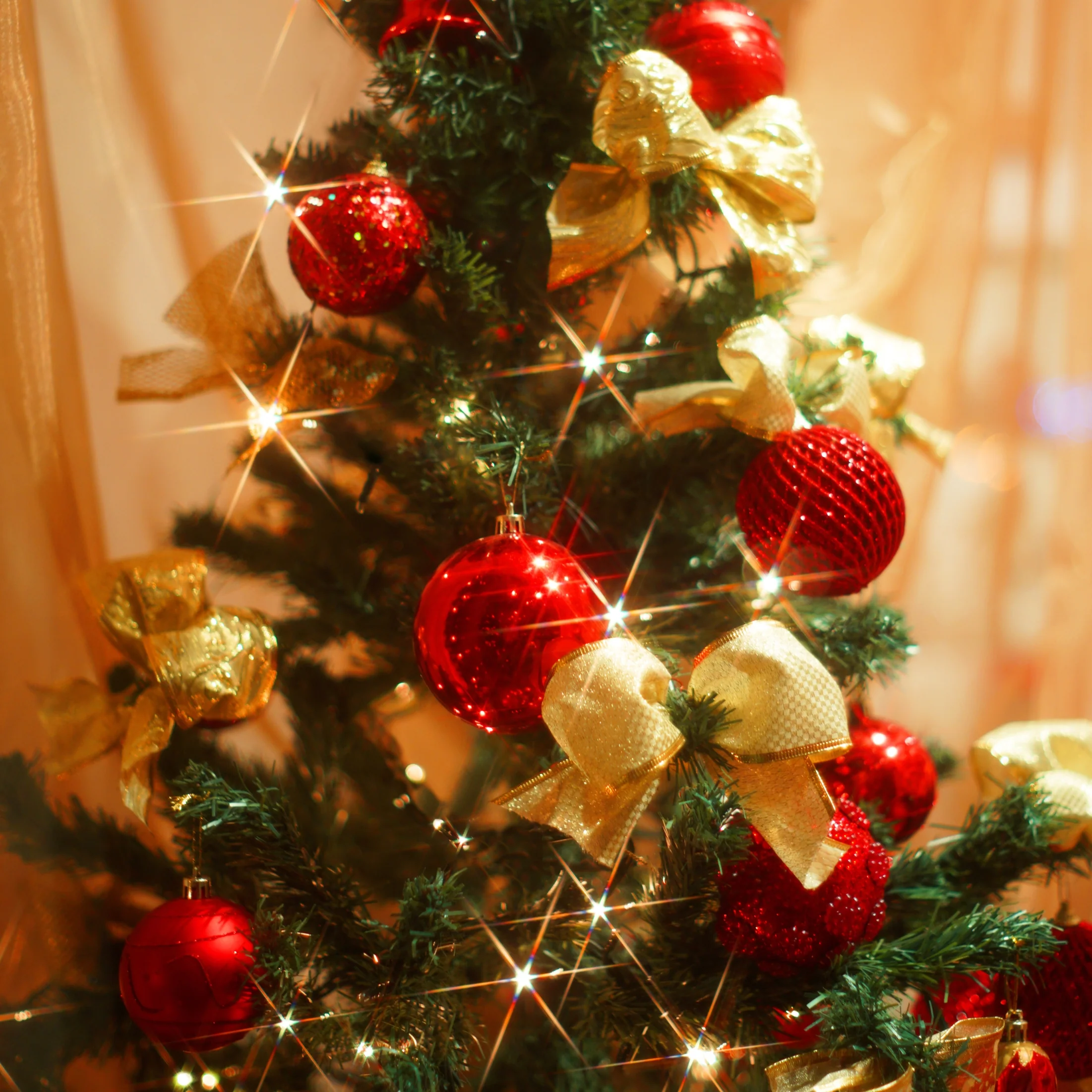 Christmas Tree Fragrance Oil