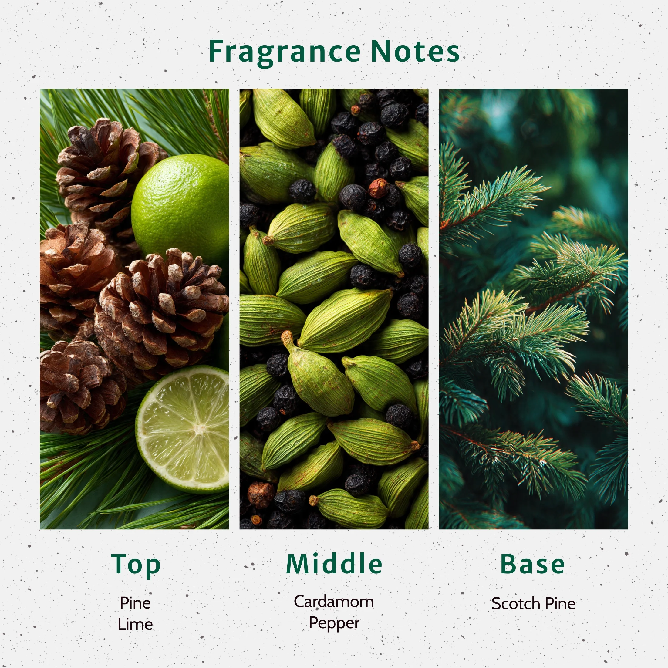 Christmas Tree Fragrance Oil - Image 2