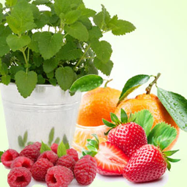 Citronella Berry Fragrance Oil