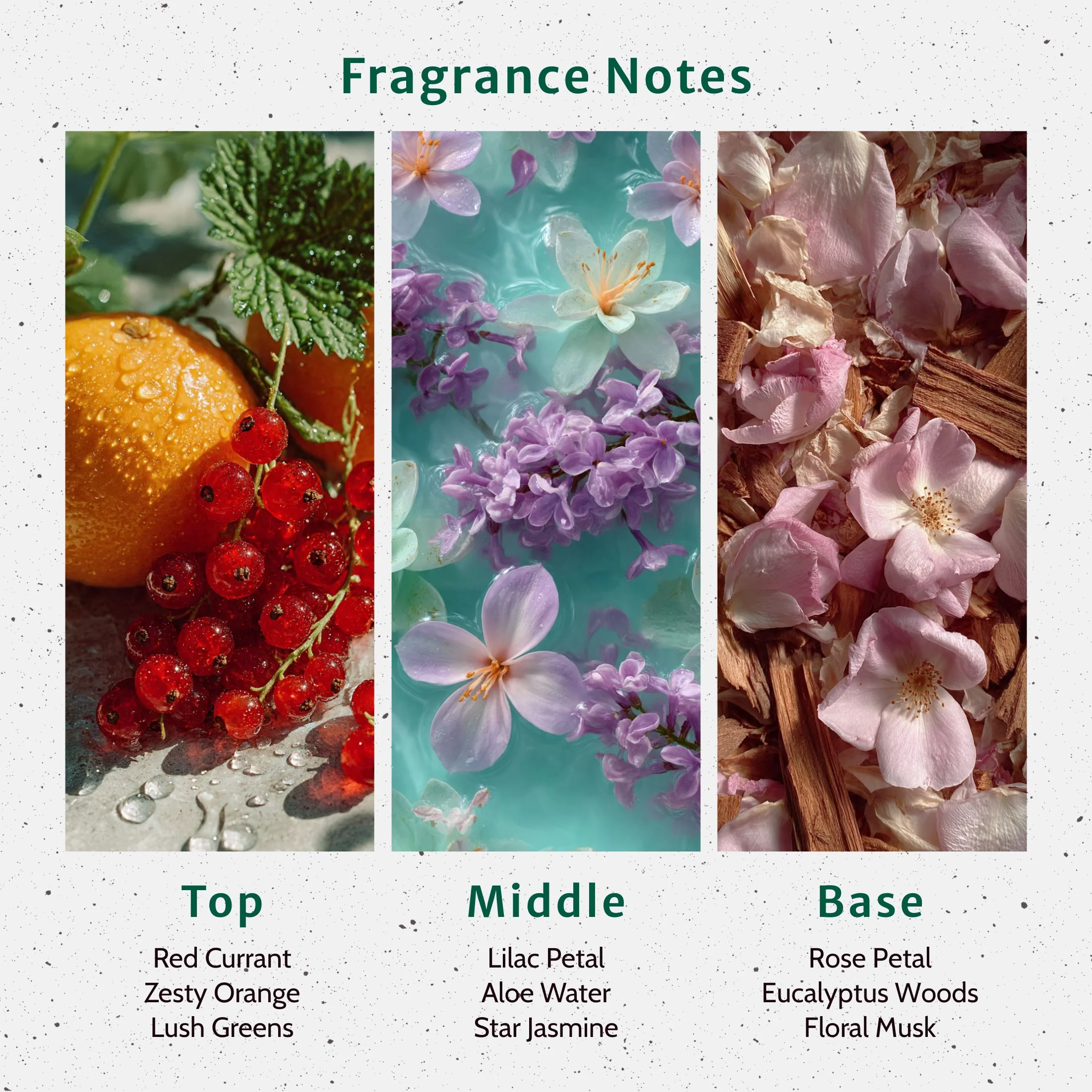 Clean Slate Fragrance Oil - Image 2
