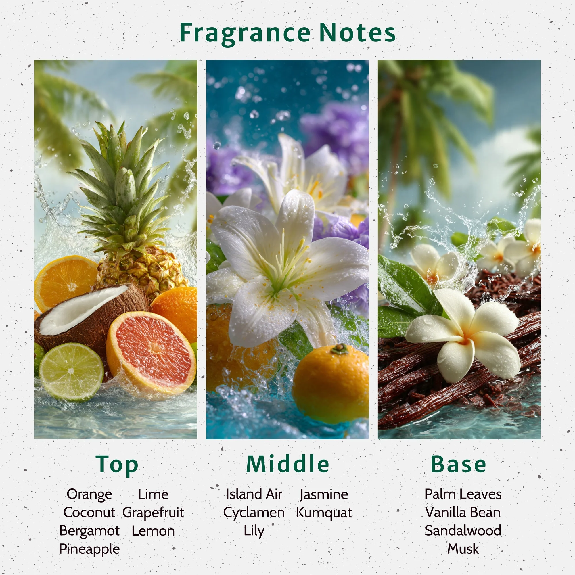 Coconut Lime Verbana Fragrance Oil - Image 2