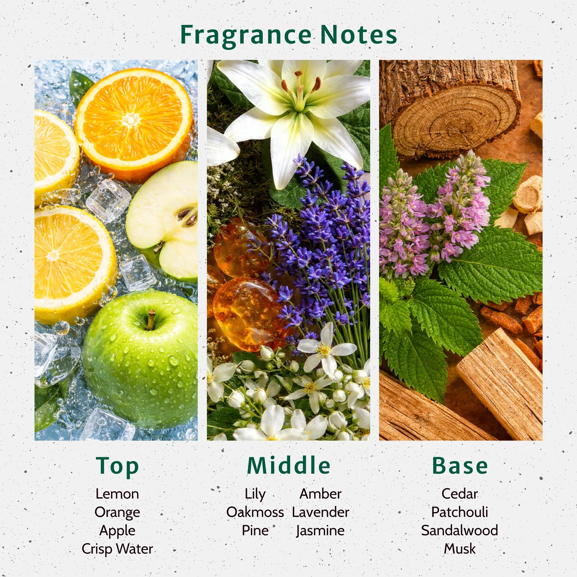 Cool Clear Water Fragrance Oil - Image 2