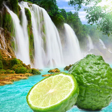 Cool Spring Fragrance Oil