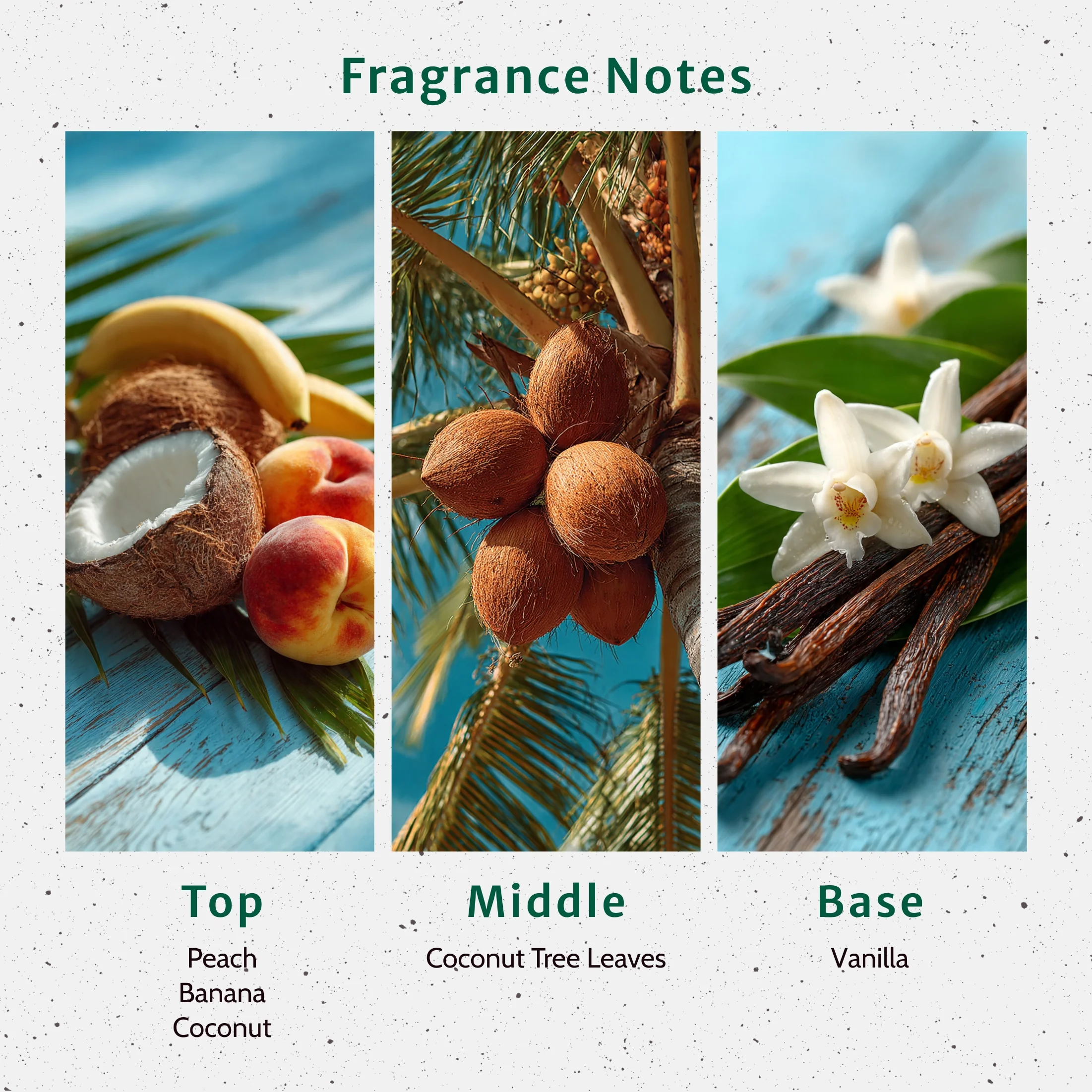 Creamy Coconut Fragrance Oil - Image 2