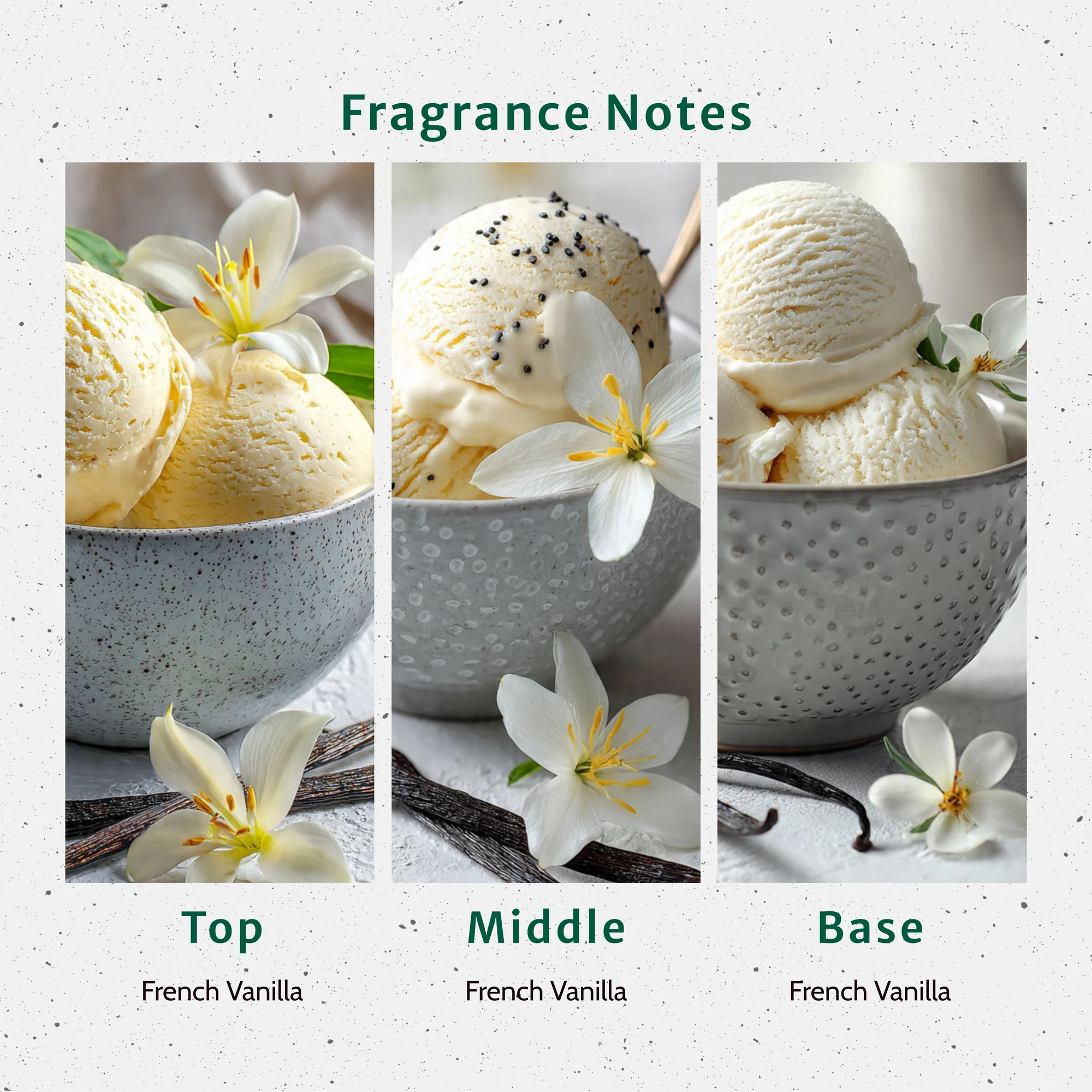 French Vanilla - NEW IMPROVED Fragrance Oil - Image 2