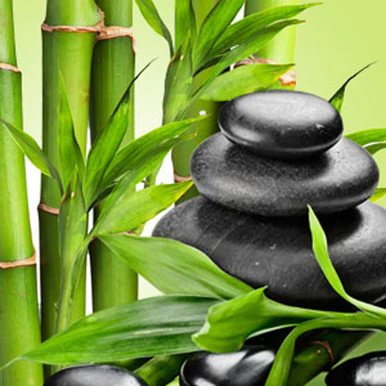 Fresh Bamboo Fragrance Oil