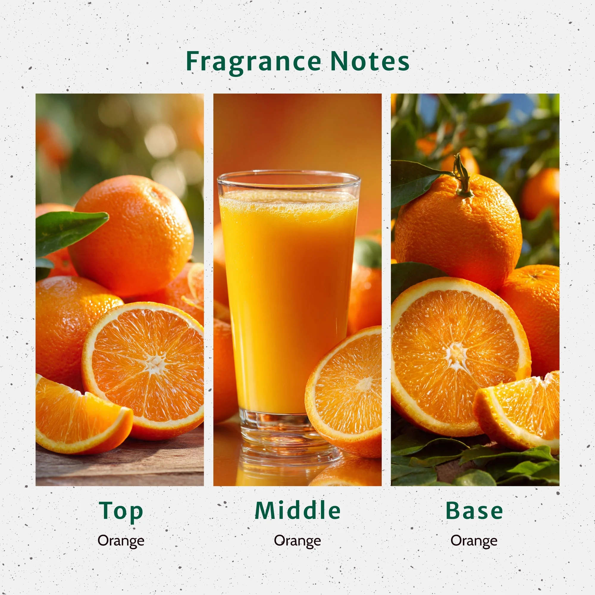 Fresh Squeezed Orange Fragrance Oil - Image 2
