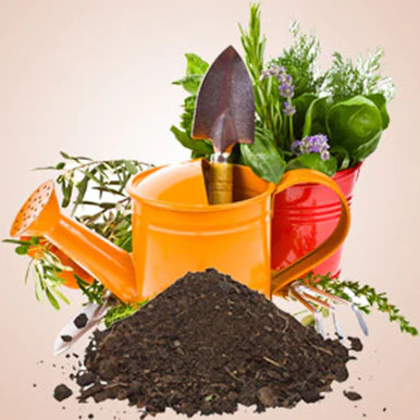Garden Dirt Fragrance Oil