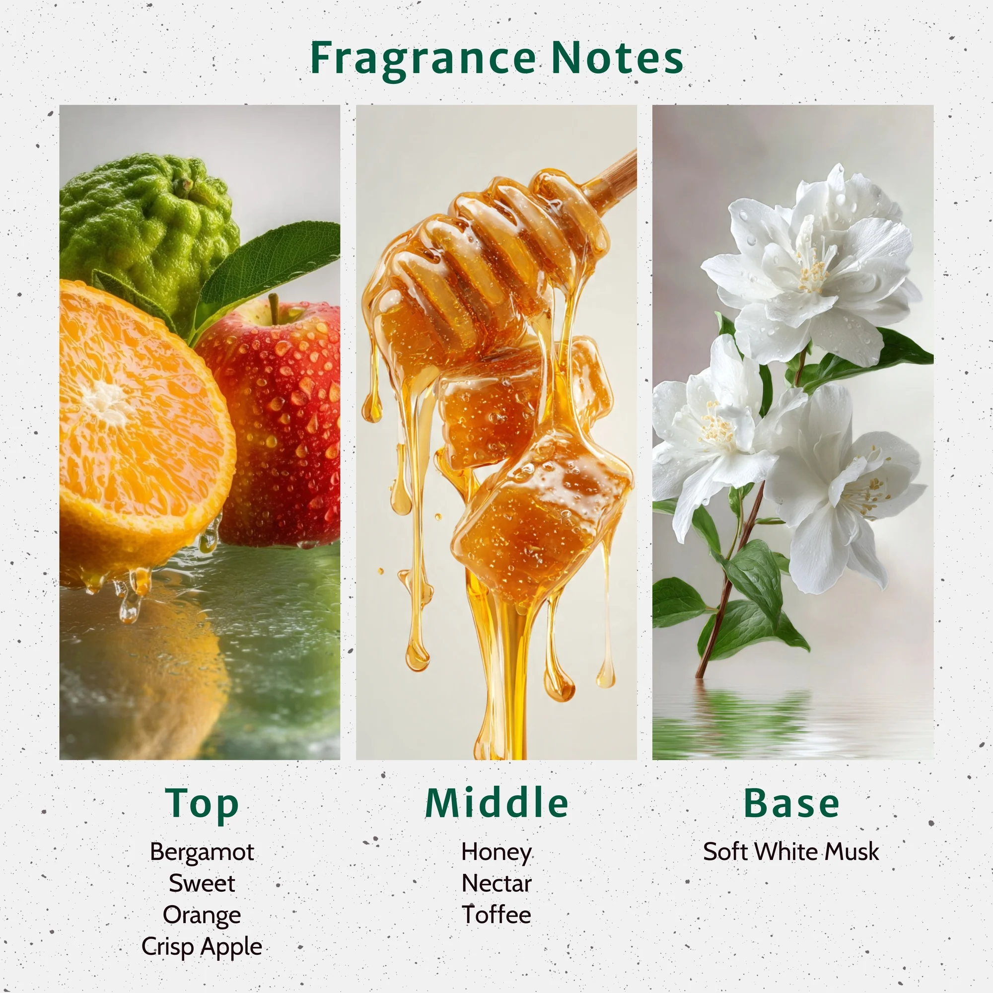 Honey Bunny Fragrance Oil - Image 2