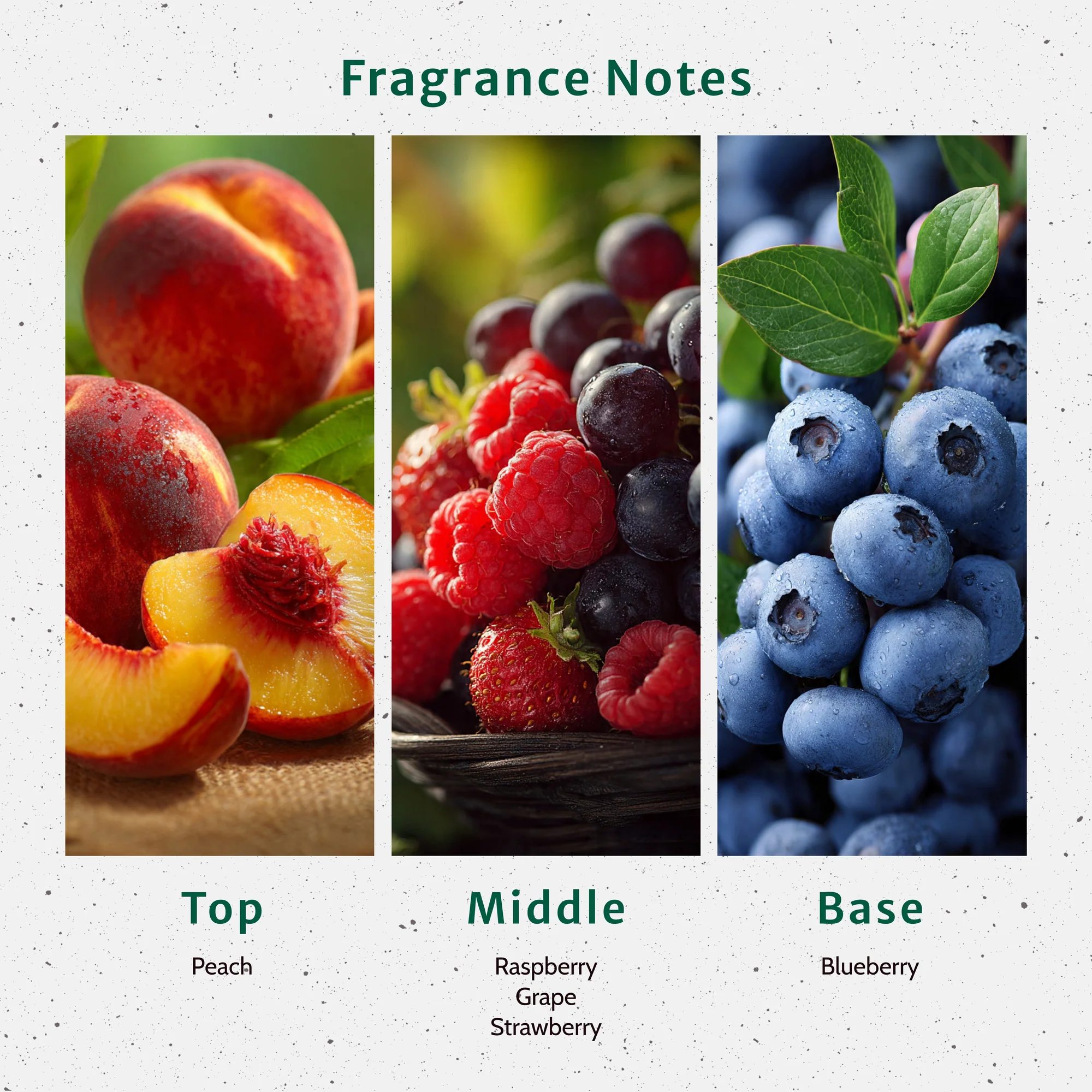 Huckleberry Harvest Fragrance Oil - Image 2