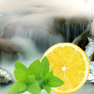 Ice Capade Fragrance Oil