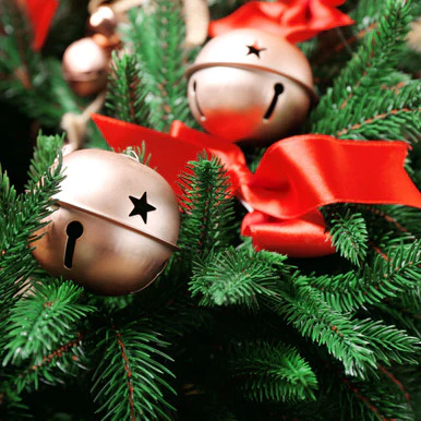 Jingle Bells Fragrance Oil
