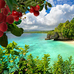 Kulu Bay Fragrance Oil