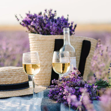 Lavender Champagne Fragrance Oil