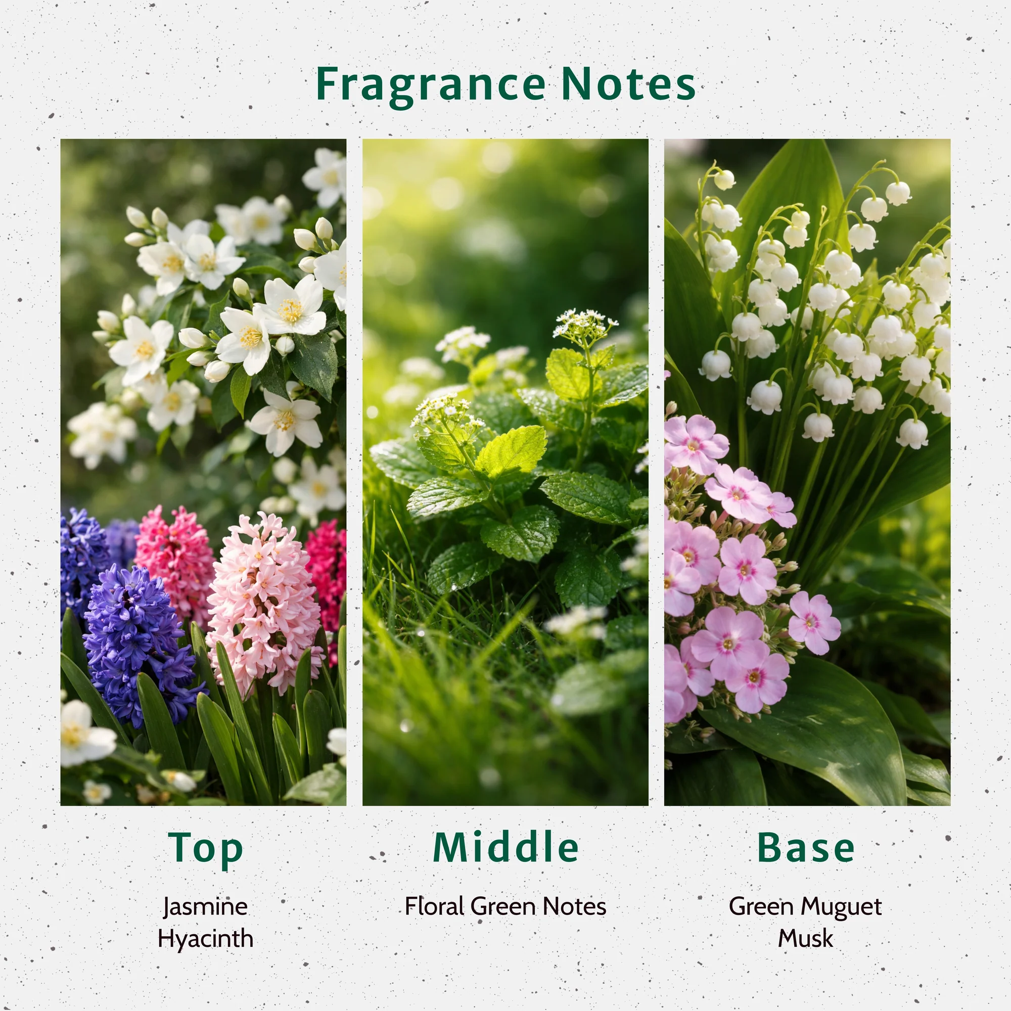 Lily of the Valley Fragrance Oil - Image 2