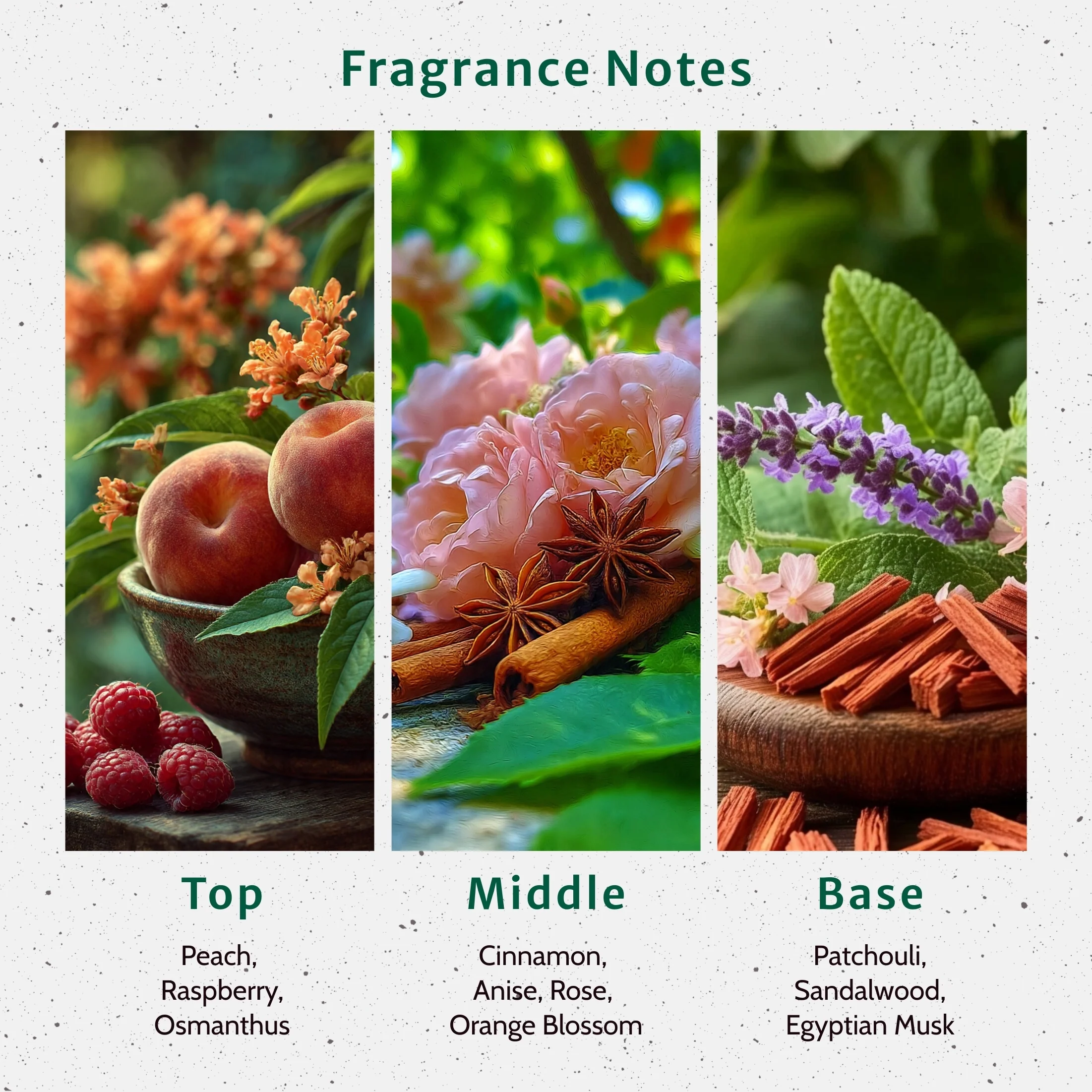 Narcissist Fragrance Oil - Image 2