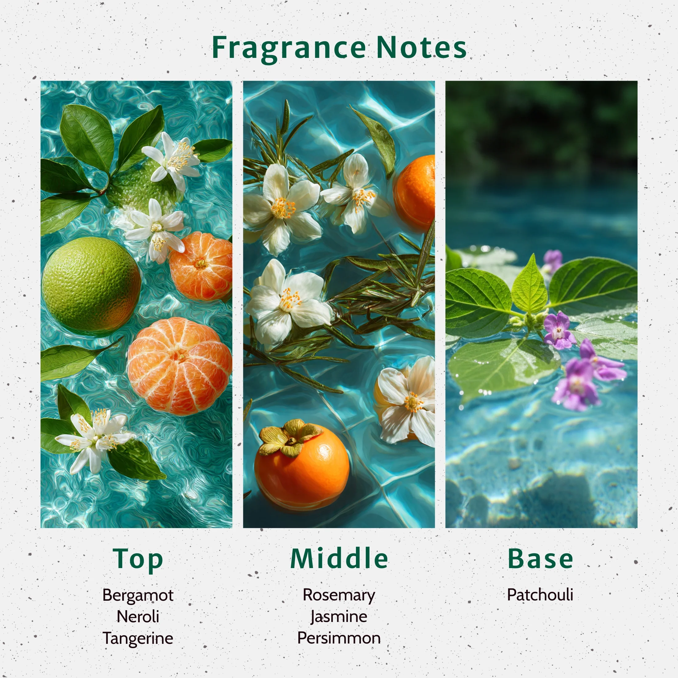 NG Aqua di Gio Type Fragrance Oil - Image 2