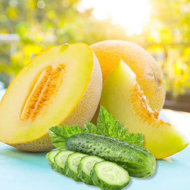 NG Cucumber Melon Type Fragrance Oil