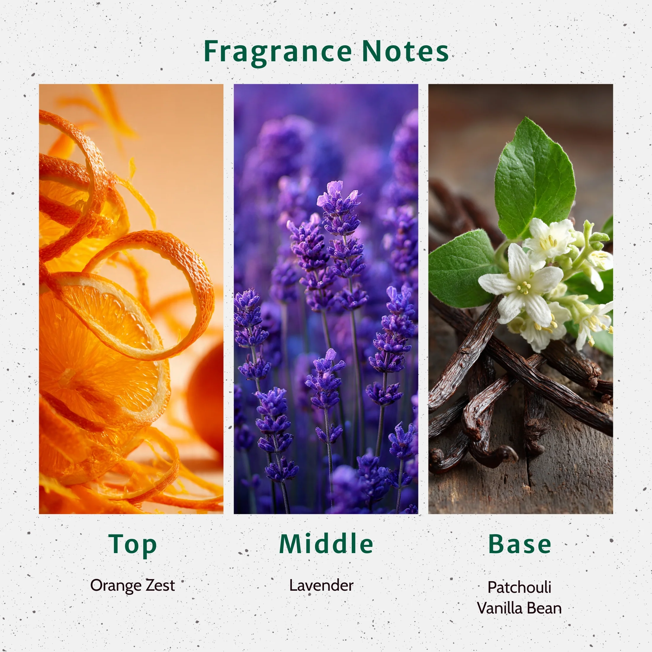 NG Vanilla Lavender Type Fragrance Oil - Image 2