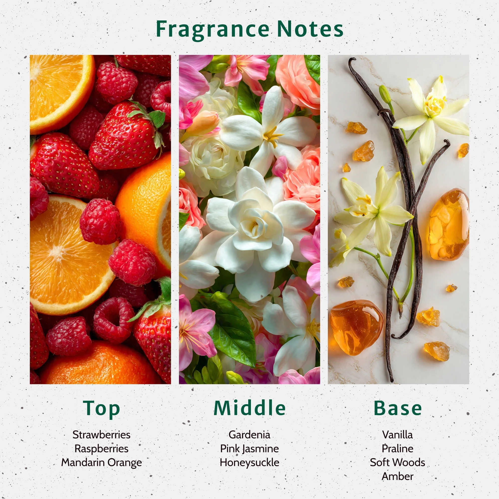 NG Viva la Juicee Fragrance Oil - Image 2