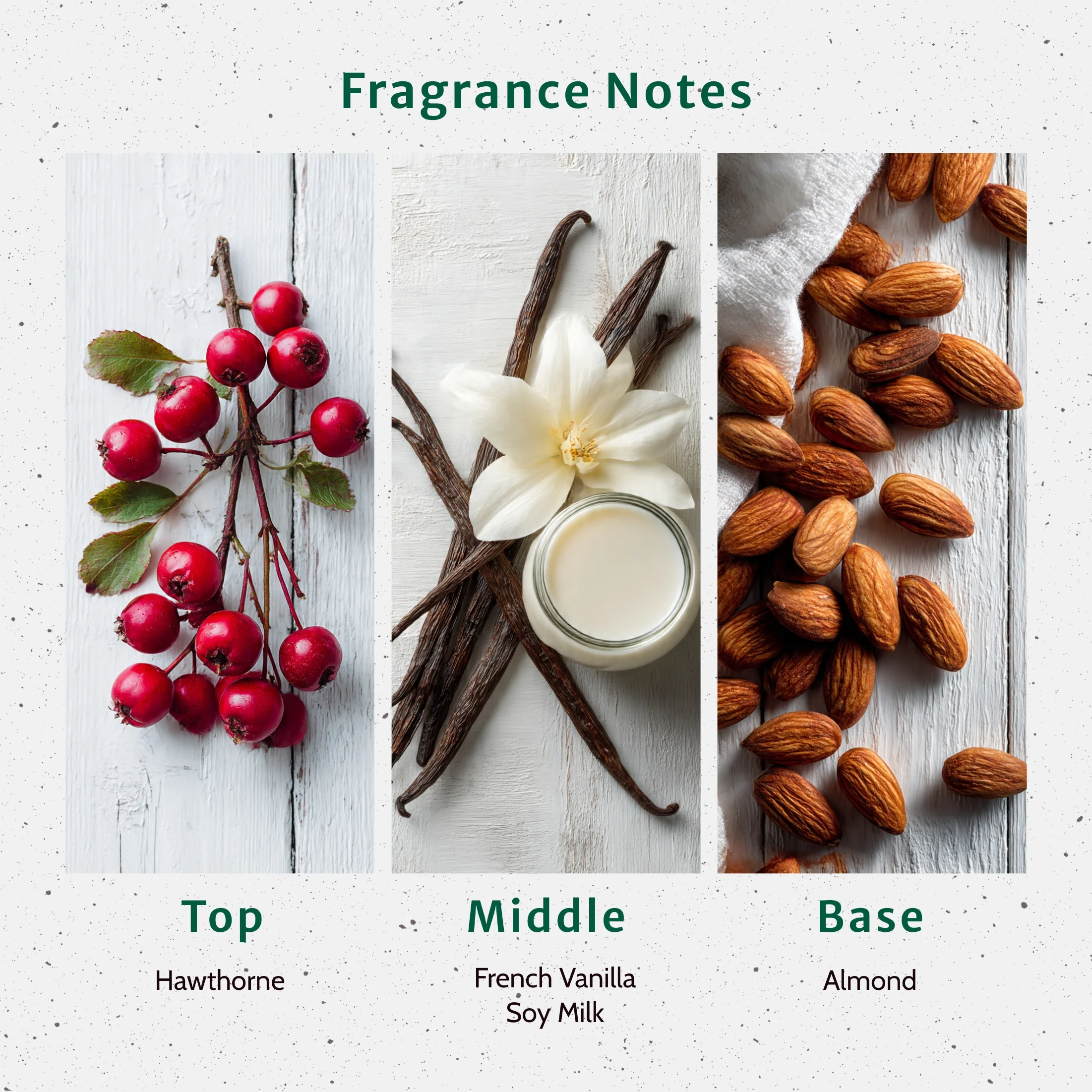 Oatmeal Milk-n-Honey Fragrance Oil - Image 2