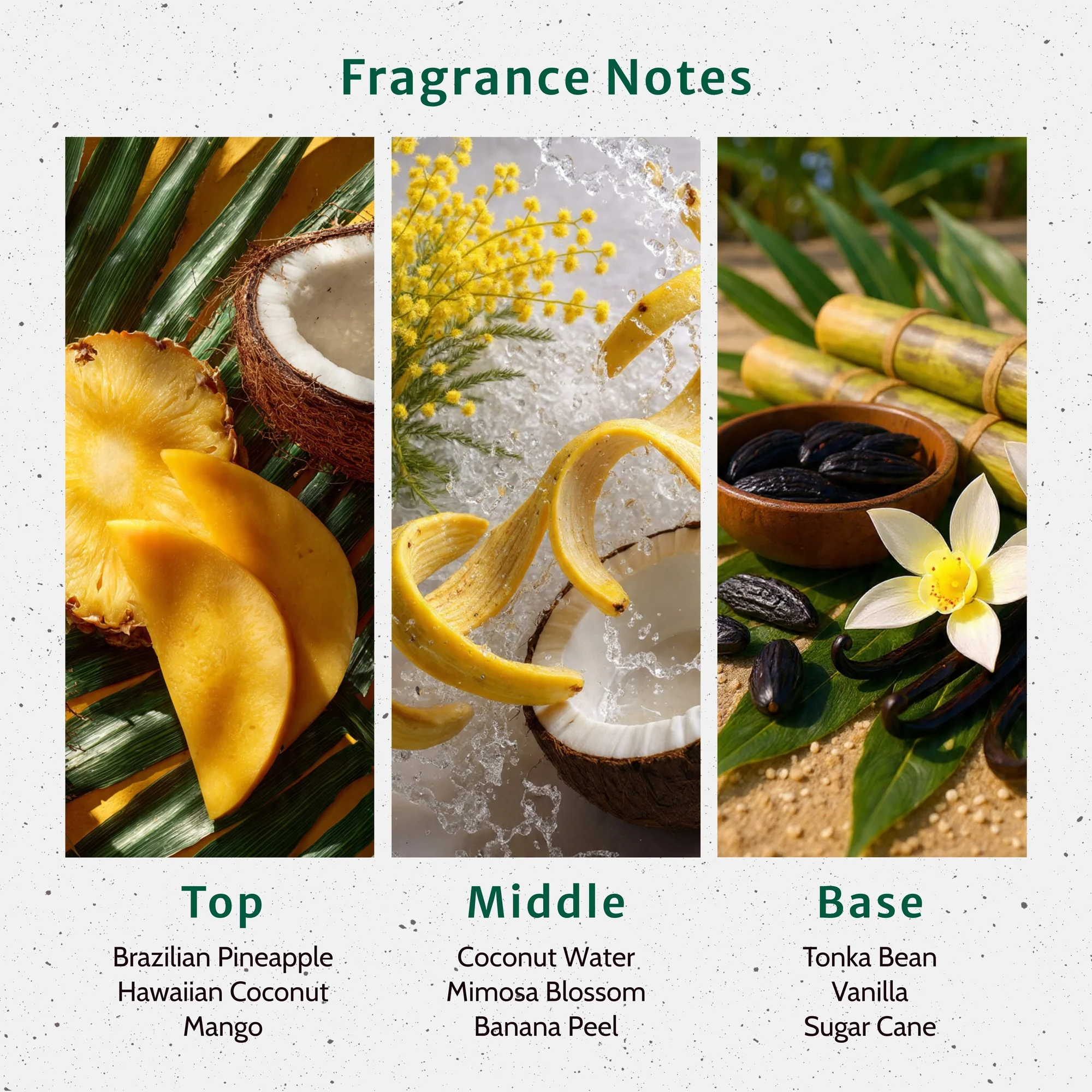 Pineapple and Coconut Water Fragrance Oil - Image 2