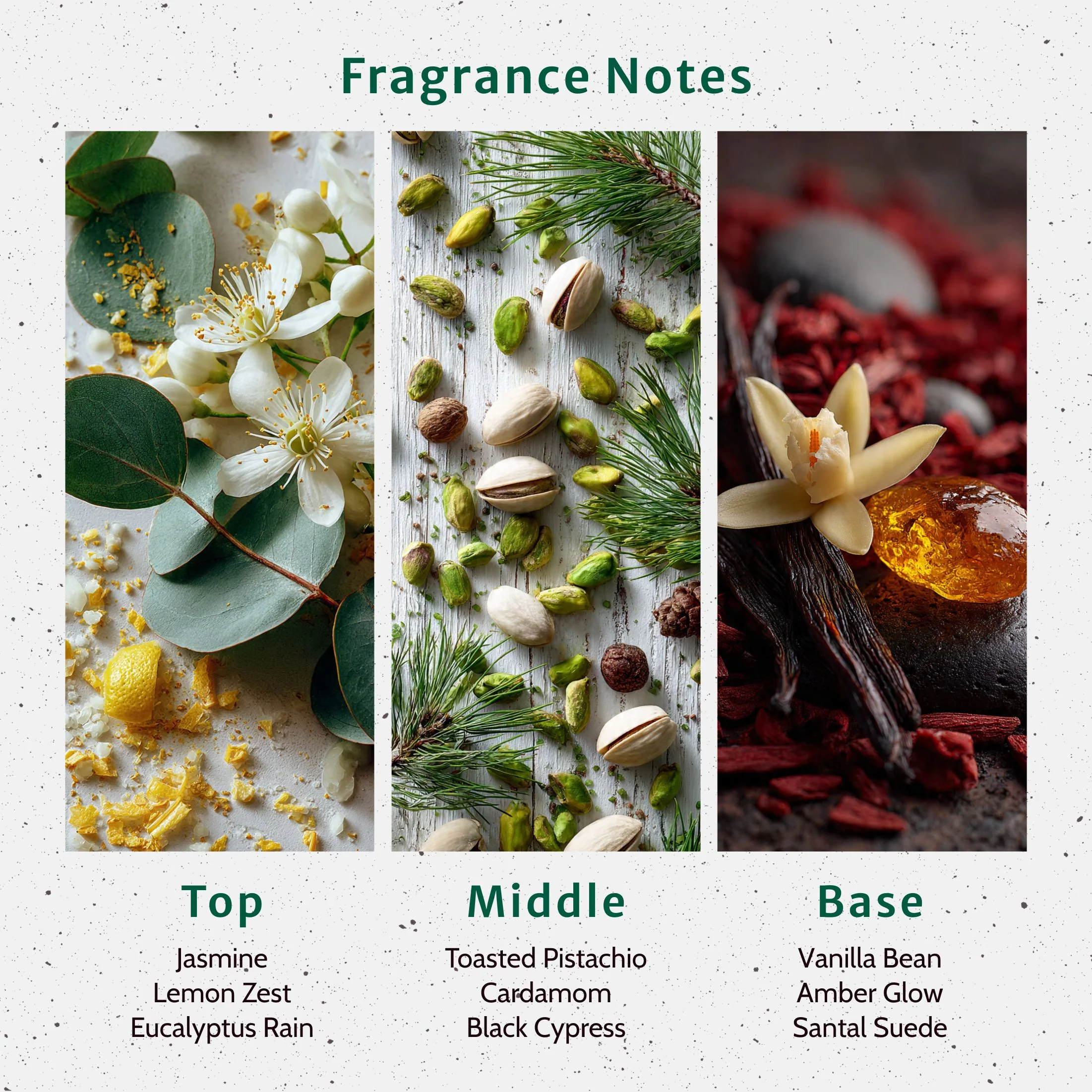 Pistachio Glow Up Fragrance Oil - Image 2