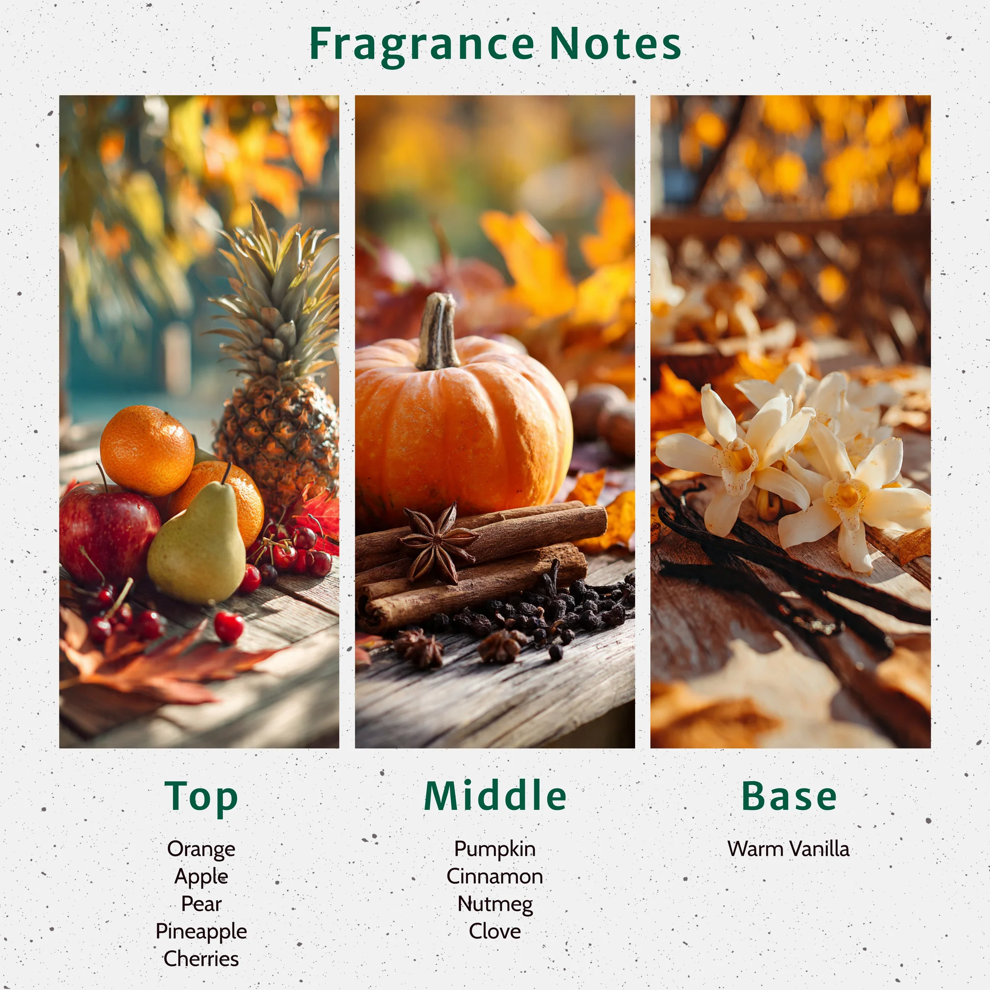 Pumpkin Apple Butter Fragrance Oil - Image 2