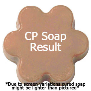 Pumpkin Caramel Fragrance Oil - Image 2