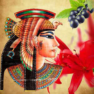 Queen of the Nile Fragrance Oil