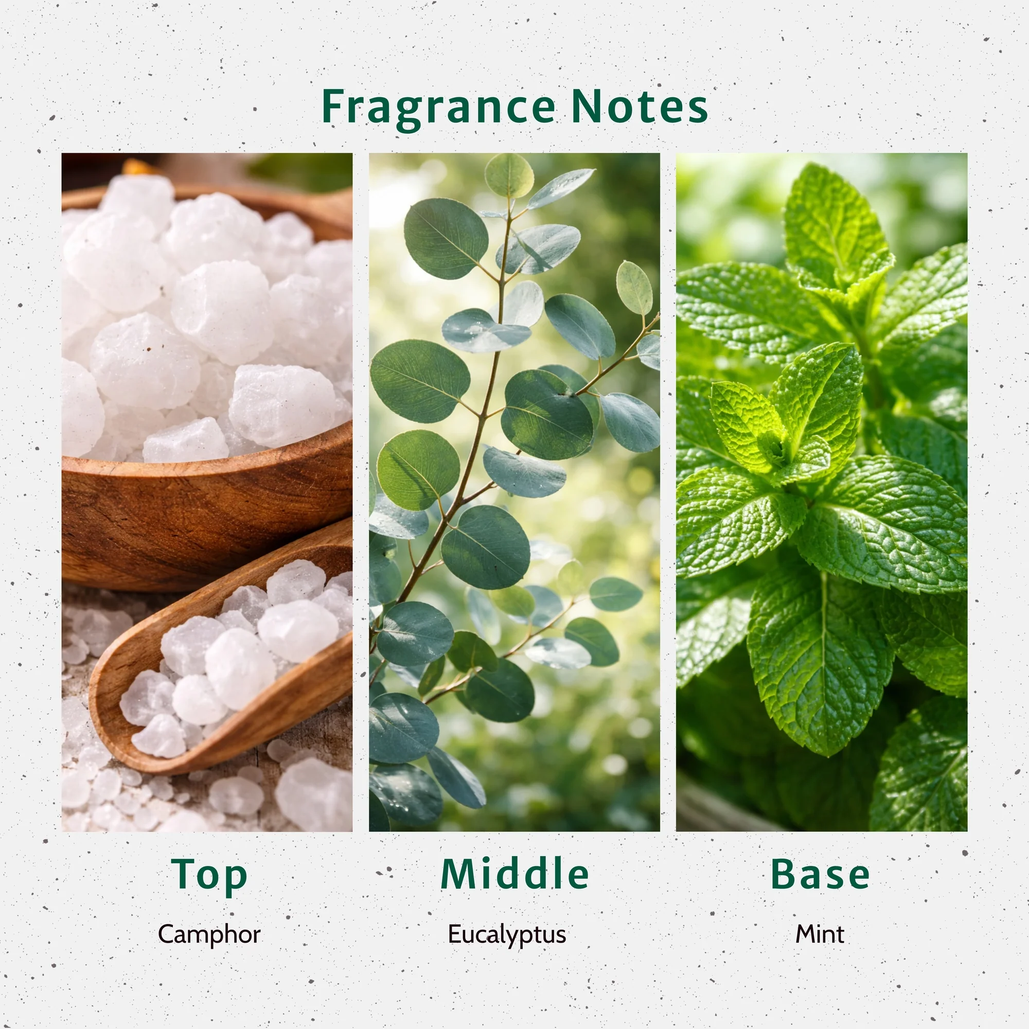 Sinus Relief Fragrance Oil - Image 2