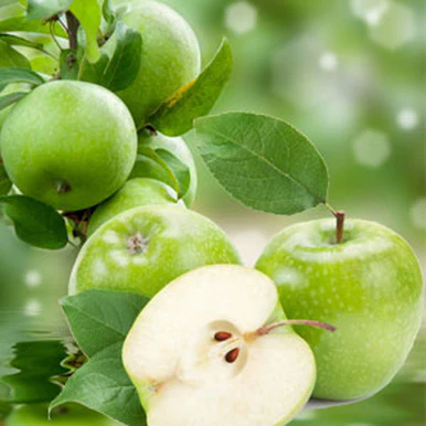 Tart Green Apple Fragrance Oil