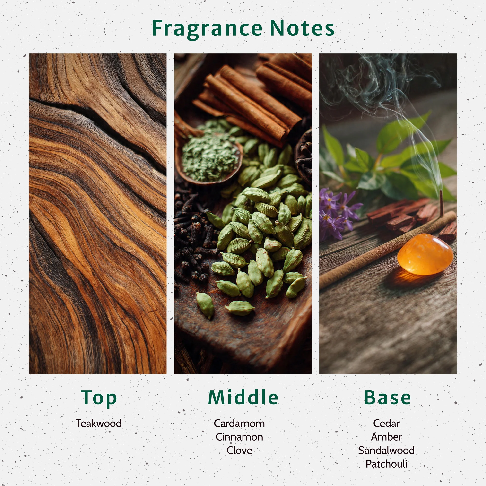 Teakwood & Cardamom Fragrance Oil - Image 2