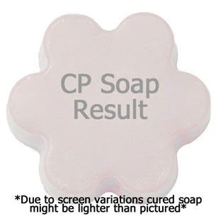 The Perfect Man Fragrance Oil - Image 3