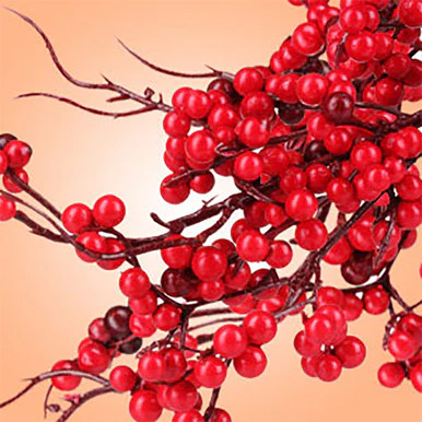 Twigs n Berries Fragrance Oil