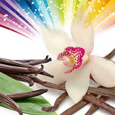 Vanilla SPECTACULAR Fragrance Oil