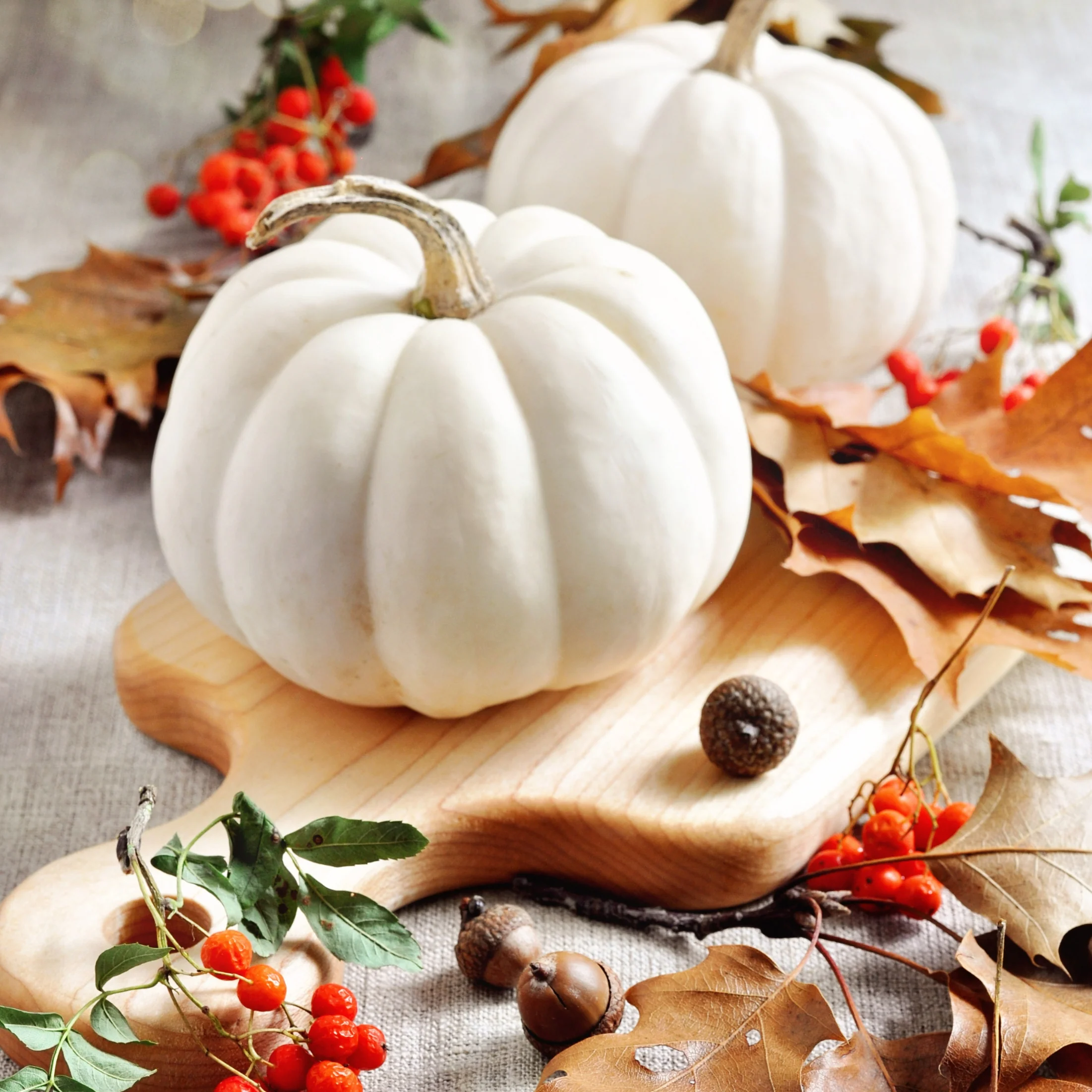 White Pumpkin Amber Fragrance Oil
