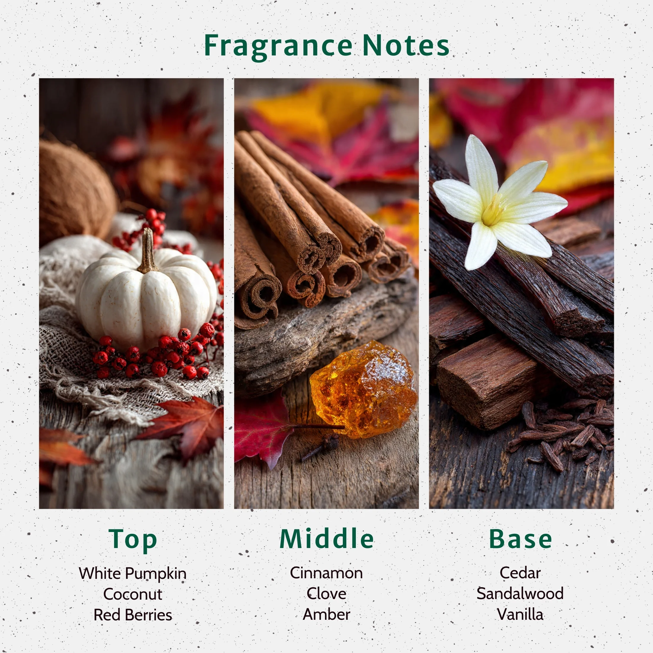 White Pumpkin Amber Fragrance Oil - Image 2